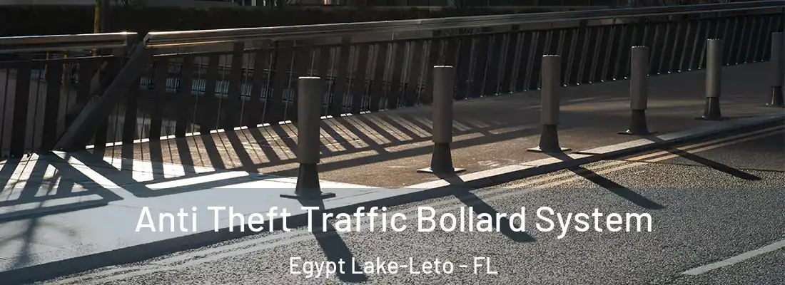  Anti Theft Traffic Bollard System Egypt Lake-Leto - FL