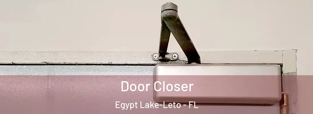  Door Closer Egypt Lake-Leto - FL
