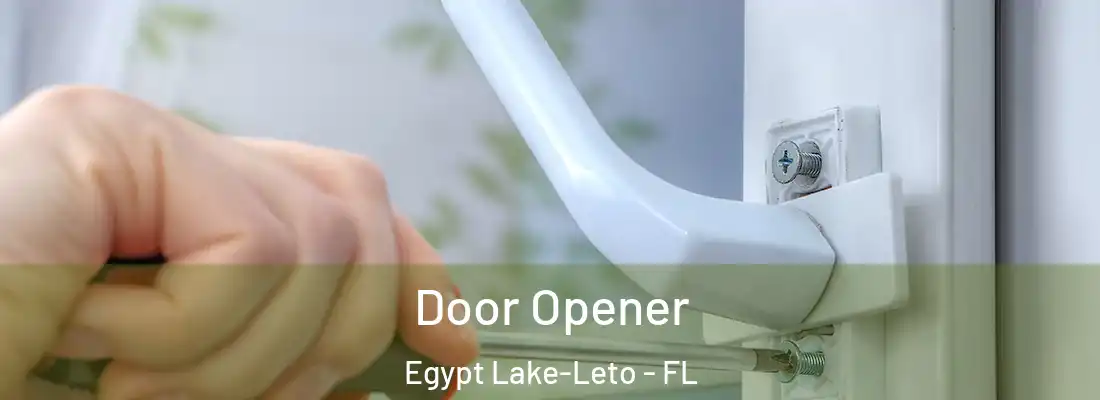  Door Opener Egypt Lake-Leto - FL