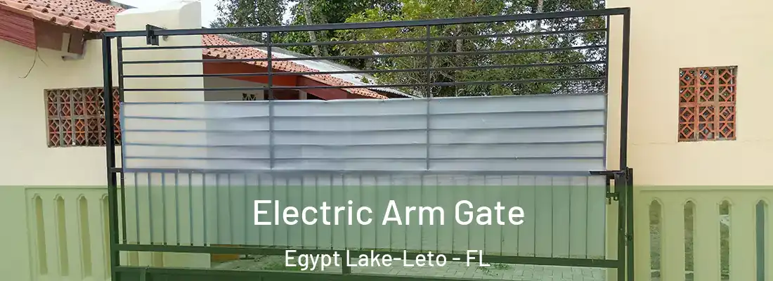  Electric Arm Gate Egypt Lake-Leto - FL