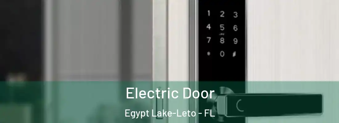  Electric Door Egypt Lake-Leto - FL