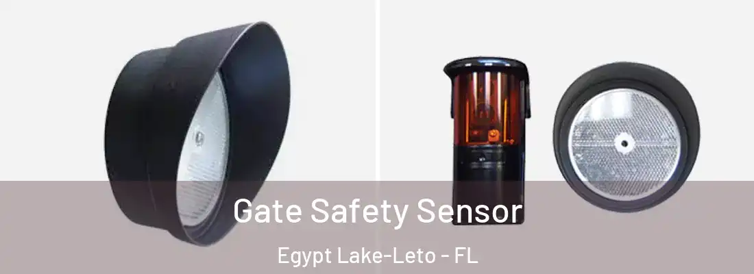  Gate Safety Sensor Egypt Lake-Leto - FL
