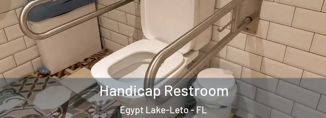  Handicap Restroom Egypt Lake-Leto - FL