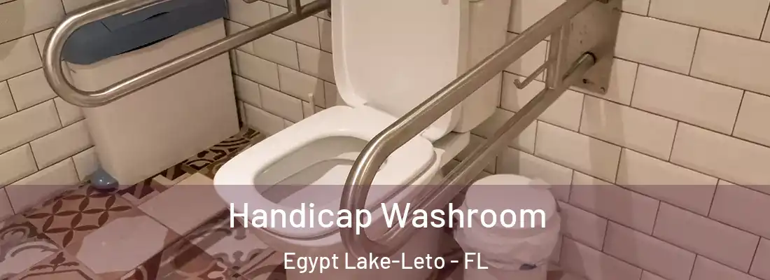  Handicap Washroom Egypt Lake-Leto - FL