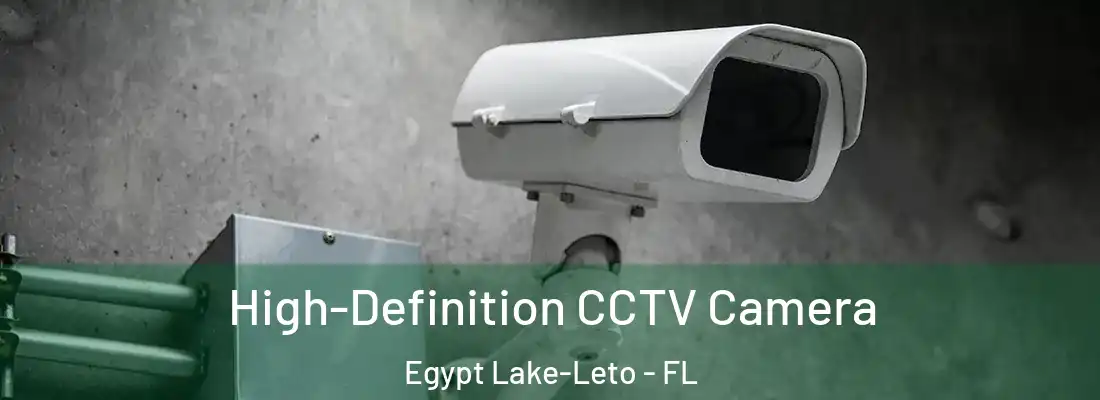  High-Definition CCTV Camera Egypt Lake-Leto - FL