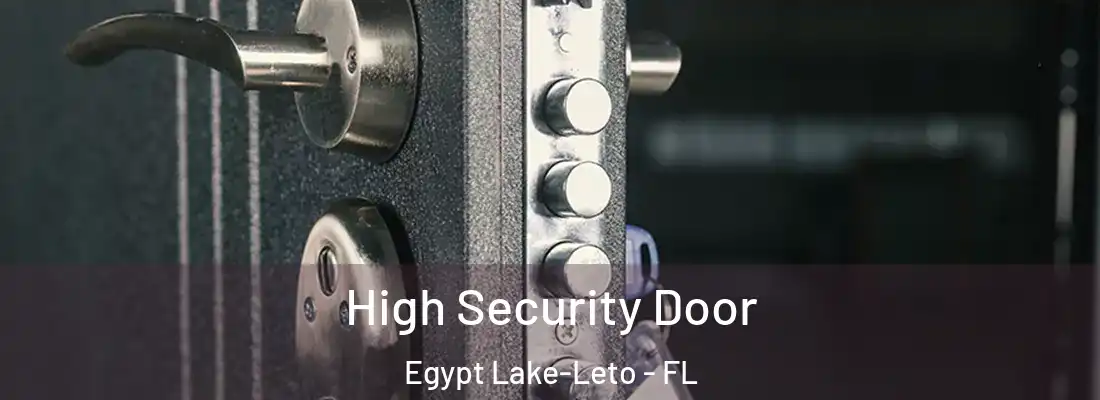  High Security Door Egypt Lake-Leto - FL