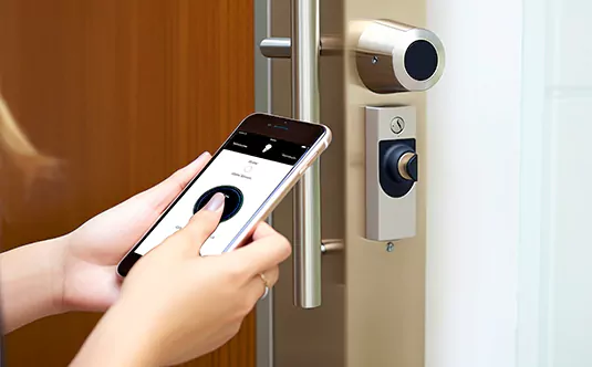 Access Management in Egypt Lake-Leto, FL