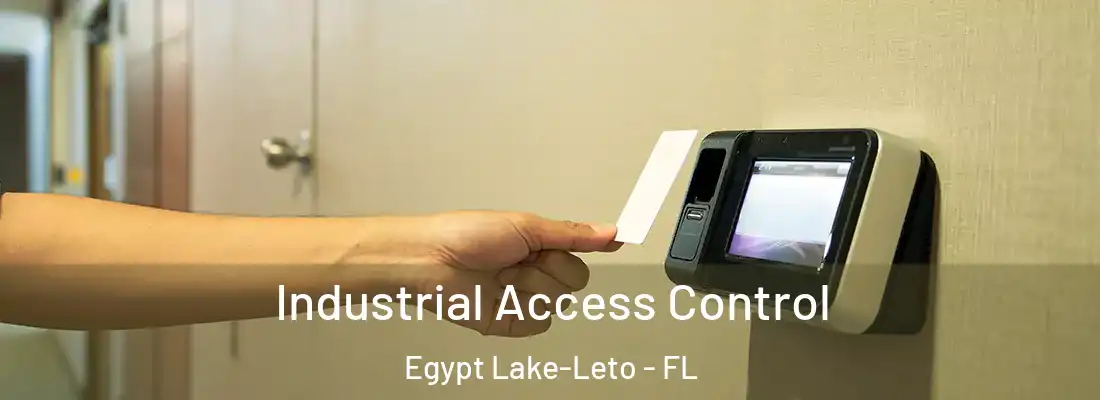  Industrial Access Control Egypt Lake-Leto - FL
