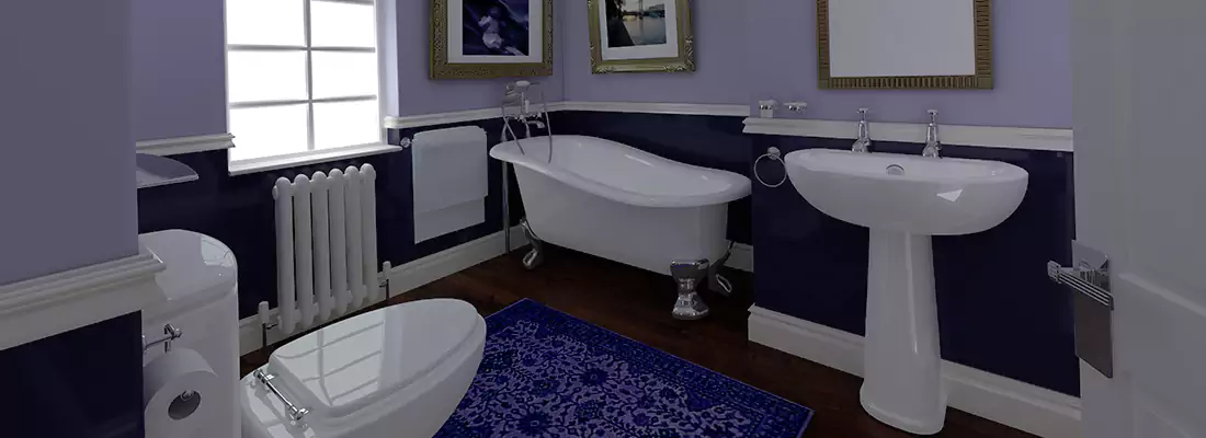 Emergency Washroom Call System Installation in Egypt Lake-Leto, FL