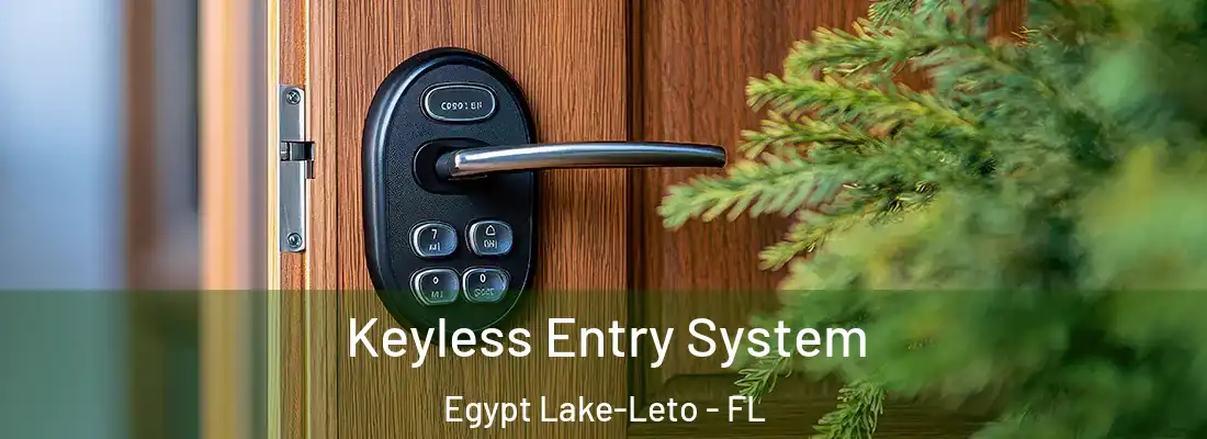  Keyless Entry System Egypt Lake-Leto - FL