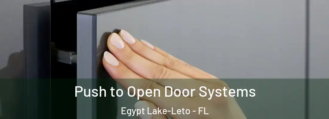  Push to Open Door Systems Egypt Lake-Leto - FL