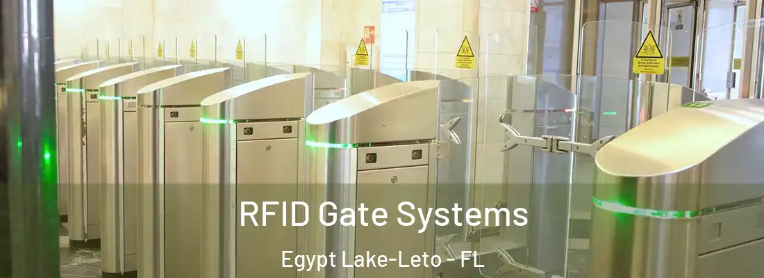  RFID Gate Systems Egypt Lake-Leto - FL