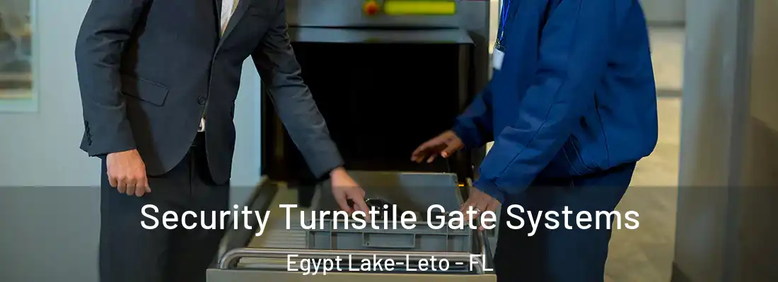  Security Turnstile Gate Systems Egypt Lake-Leto - FL