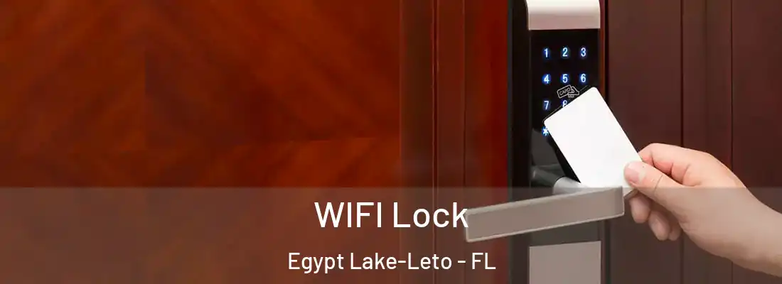  WIFI Lock Egypt Lake-Leto - FL